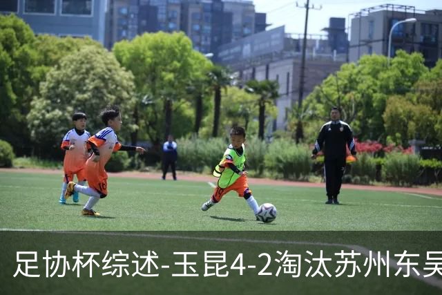 足协杯综述-玉昆4-2淘汰苏州东吴16强全部出炉中超13队晋级